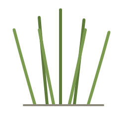 Frisches Gras