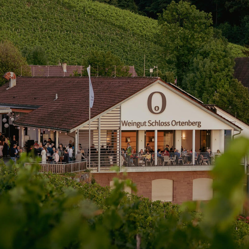 Offenburger Weinwandertag