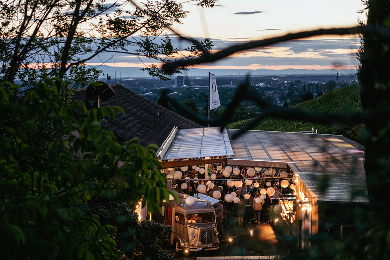 Gutsfest im Weingut