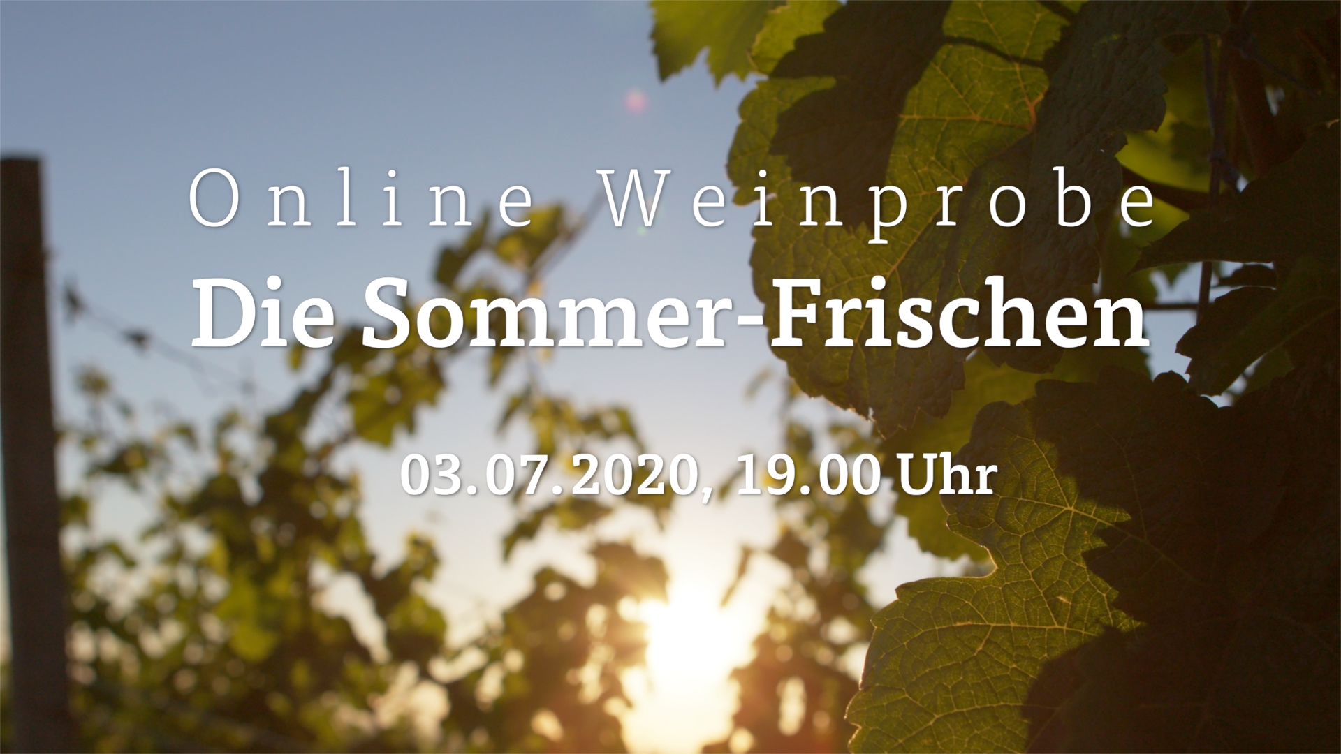 Online Weinprobe die #Sommerfrischen auf Facebook und Youtube